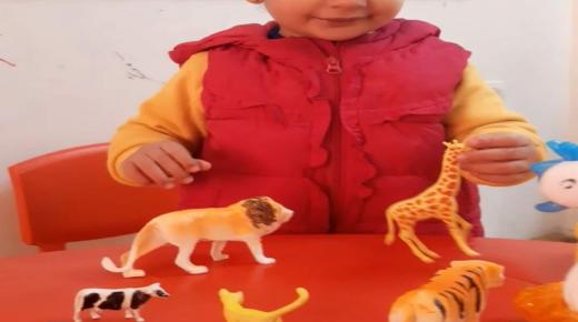 التقييم مجاني …..التقييم مجاني خدماتنا في مركز نون والقلم