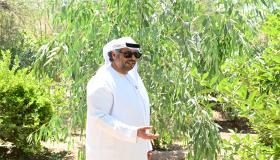 مزارع العين… رمز العطاء والاستدامة في الإمارات