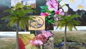 معرض في مانشستر يكشف الطبيعة بعيون بريطانية عربية