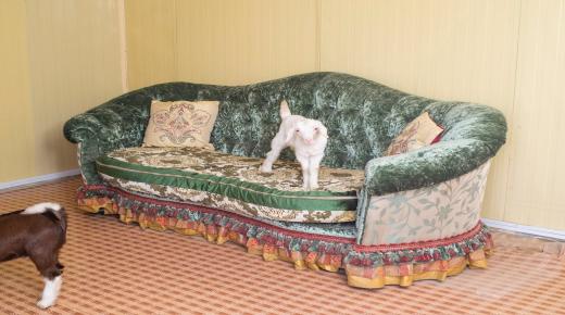 مقتطفات من معرض الفنانة الإماراتية فرح القاسمي