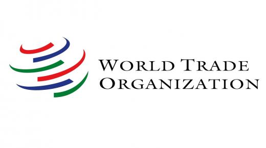 نائب مدير عام منظمة التجارة العالمية: استثمارات الإمارات الراهنة تصنع الفارق في مستقبل الاقتصاد