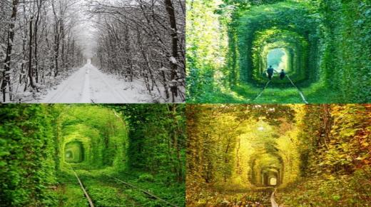 نفق الحب أحد أكثر الأماكن رومانسية في أوكرانيا