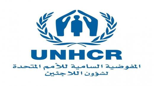 الأمم المتحدة: نحو 200 ألف لاجئ سوري عادوا إلى وطنهم منذ ديسمبر