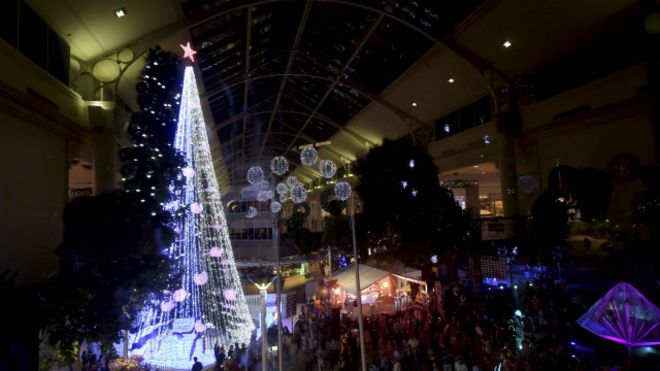 استرالي يدخل موسوعة غينيس بشجرة عيد ميلاد عليها أكثر من نصف مليون مصباح