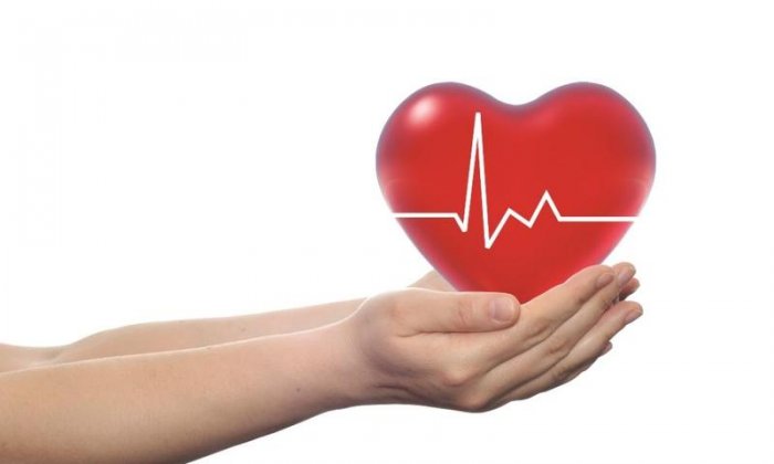 هل صحة القلب مرتبطة بسلامة الأمعاء